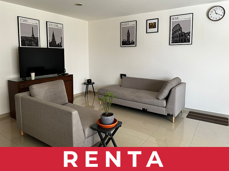 DVN renta